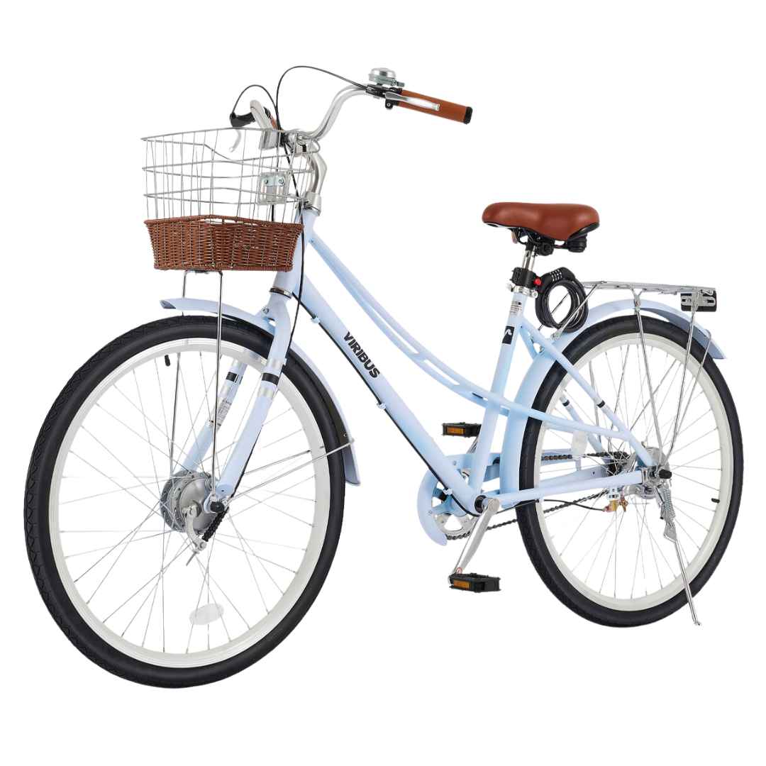 Beach Bike photo 2