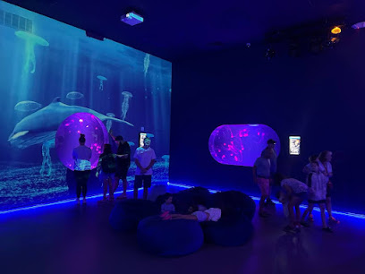 Jellyfish Museum